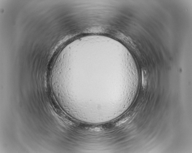 X0000058110204200510211509