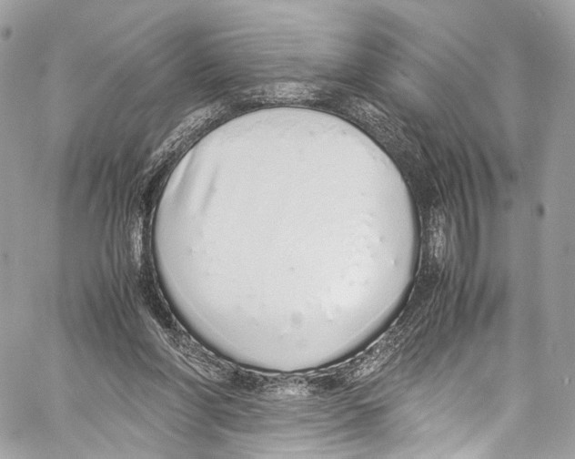 X0000058110206200510211509