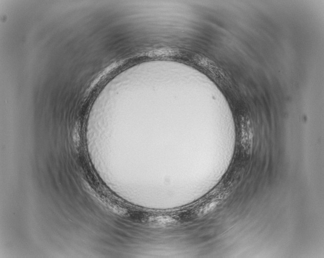 X0000058110208200510211509