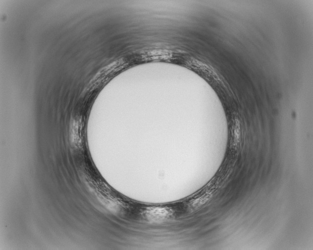 X0000058110218200510211509