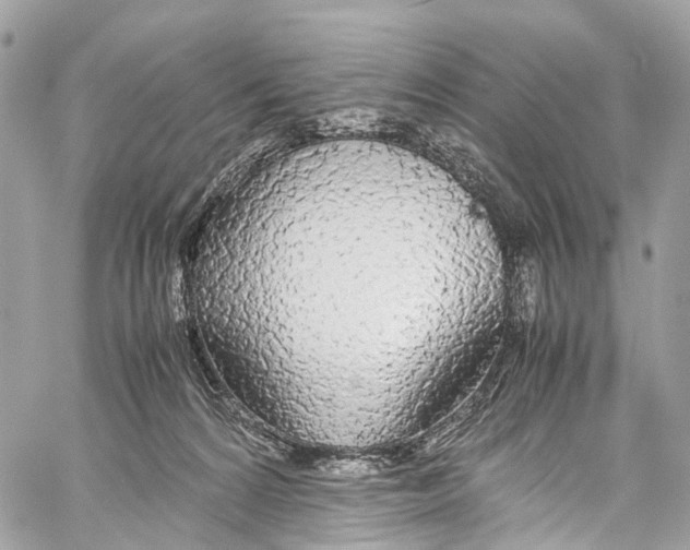 X0000058110224200510211509