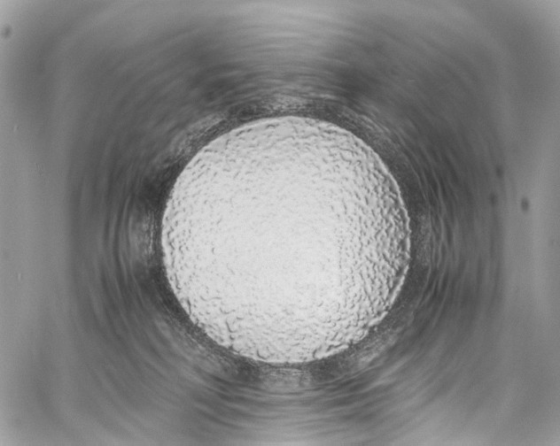 X0000058110230200510211509