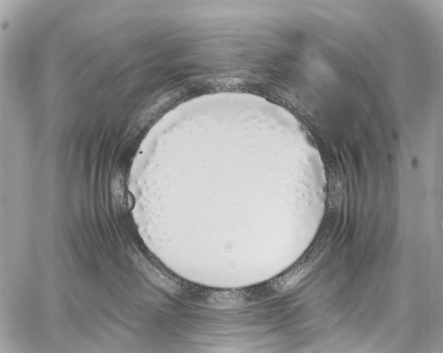 X0000058110238200510211509
