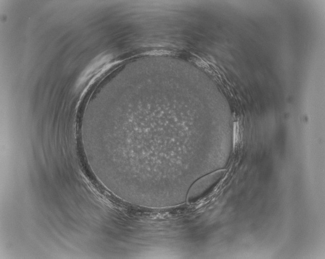 X0000058110243200510211508