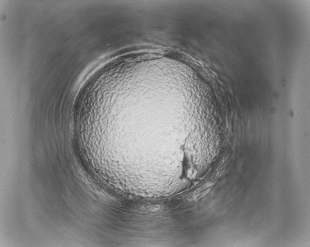 X0000058110247200510211508