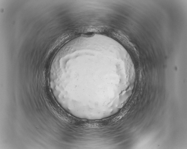 X0000058110250200510211508
