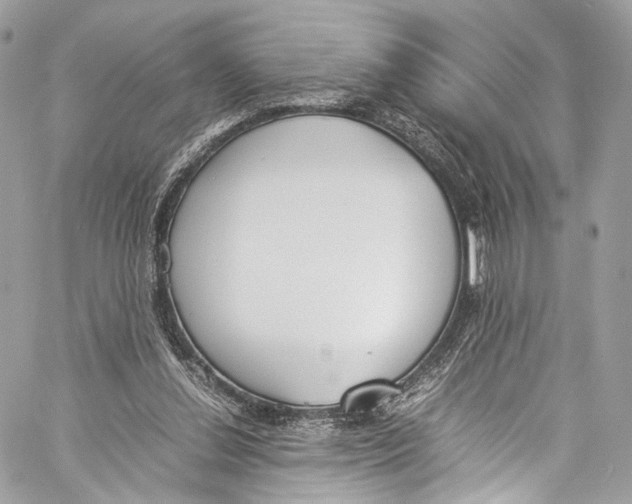 X0000058110252200510211508