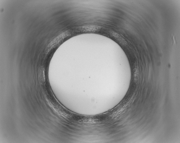 X0000058110254200510211508