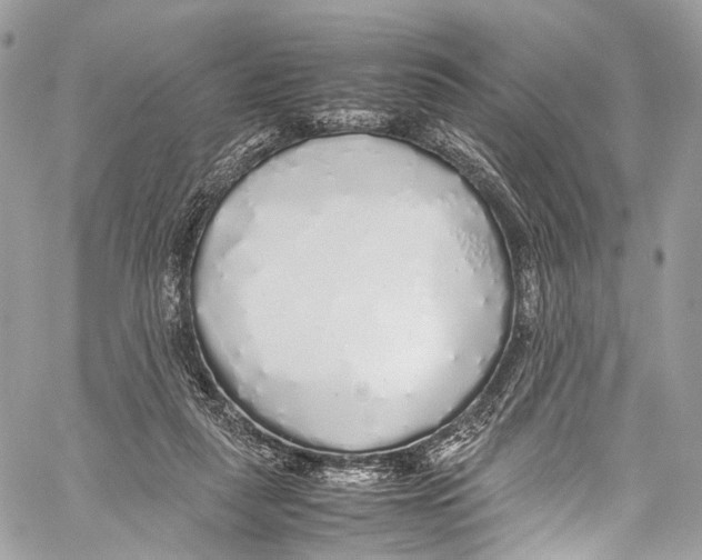 X0000058110259200510211508