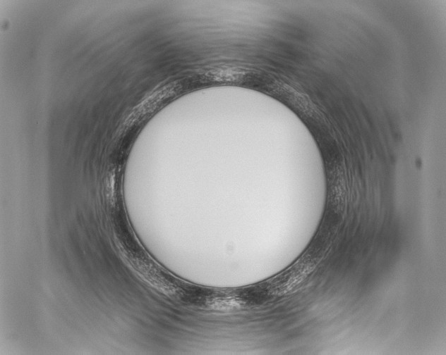 X0000058110262200510211508