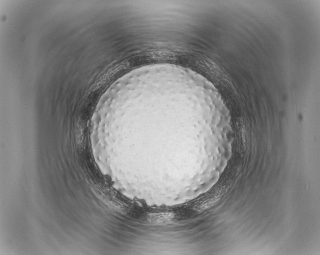X0000058110266200510211508