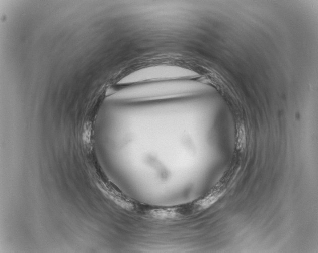 X0000058110284200510211509