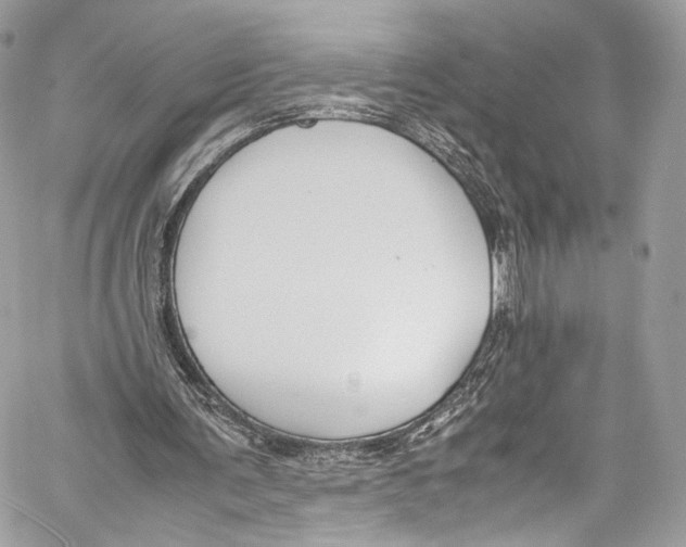 X0000058110291200510211508
