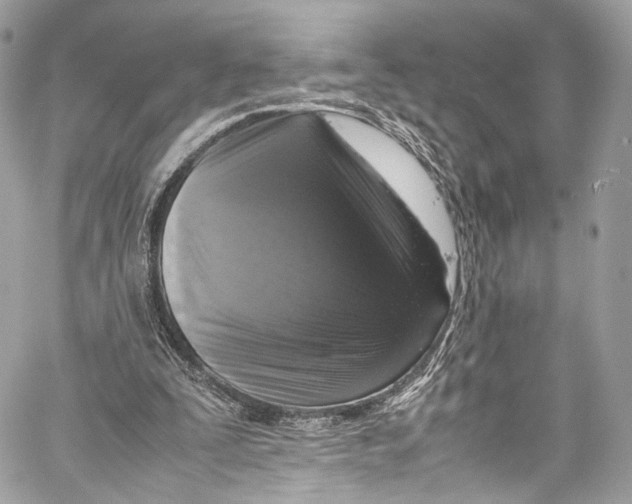 X0000058110295200510211508