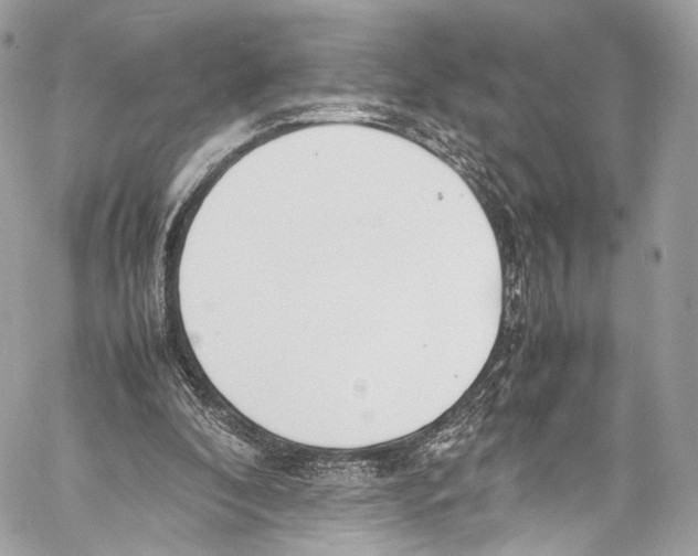 X0000058110296200510211508