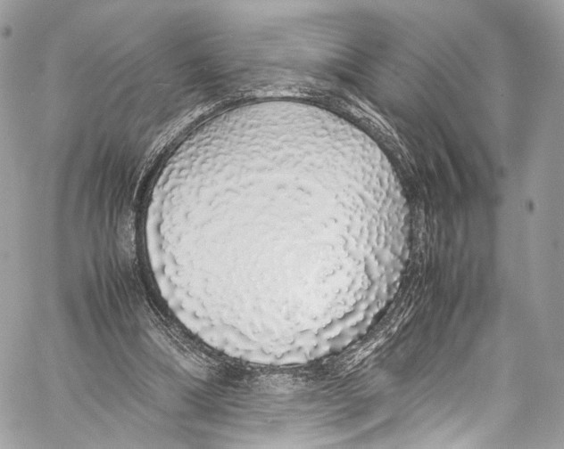 X0000058110298200510211508
