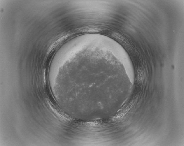 X0000058110302200510211508