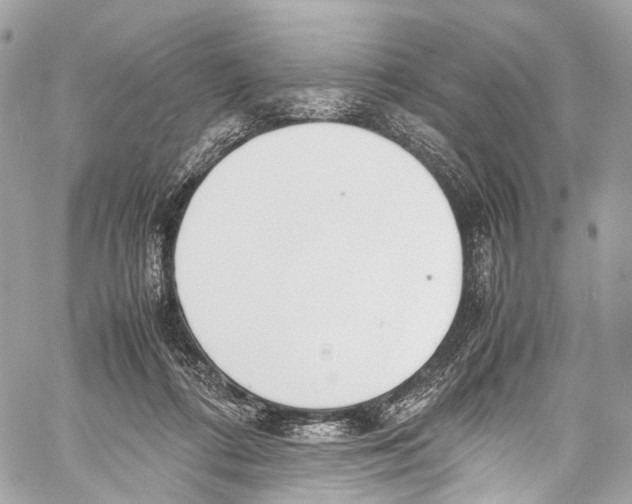 X0000058110312200510211507