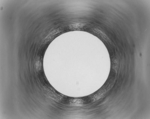 X0000058110324200510211507