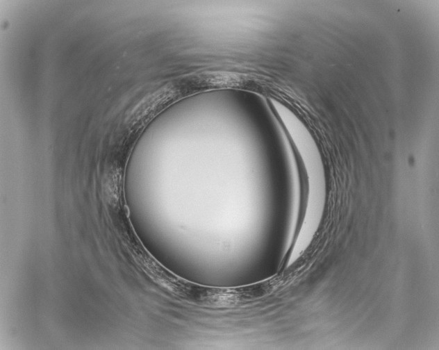X0000058110325200510211507