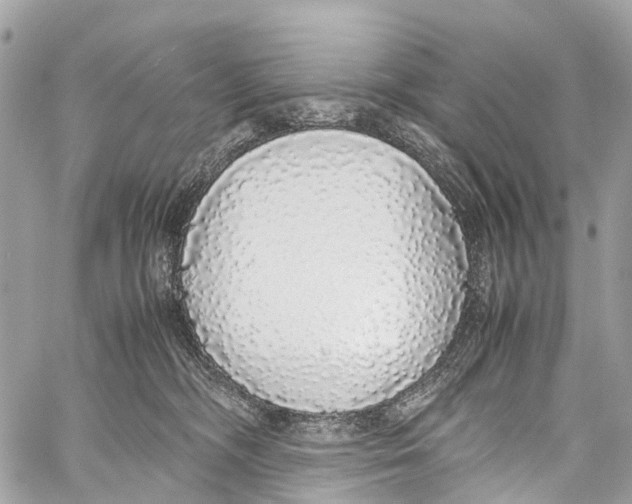 X0000058110326200510211507