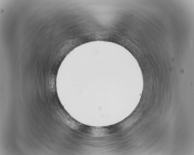 X0000058110336200510211507