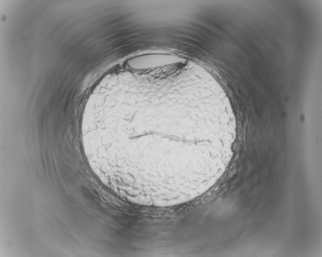 X0000058110337200510211506