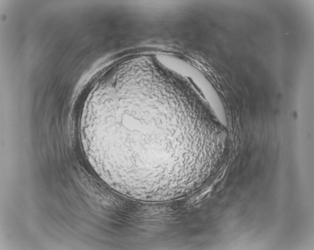 X0000058110343200510211506