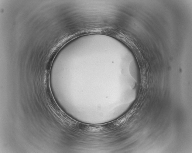 X0000058110346200510211506
