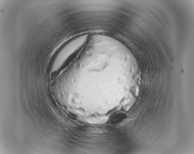 X0000058110347200510211506