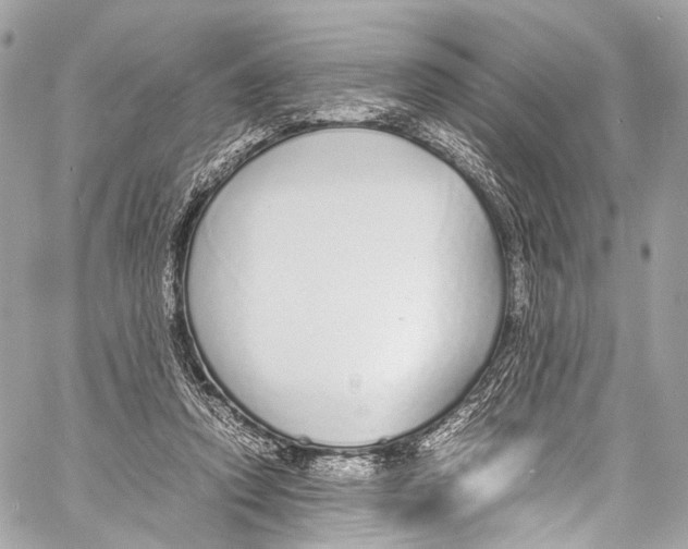 X0000058110354200510211506