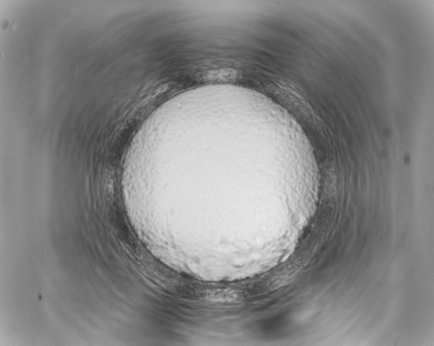 X0000058110363200510211507