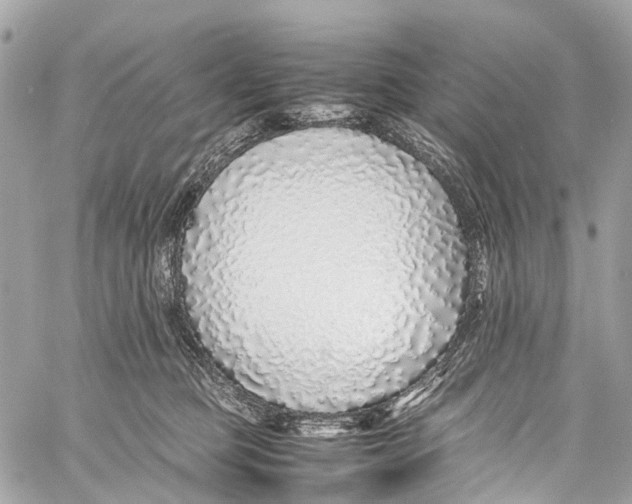 X0000058110373200510211507