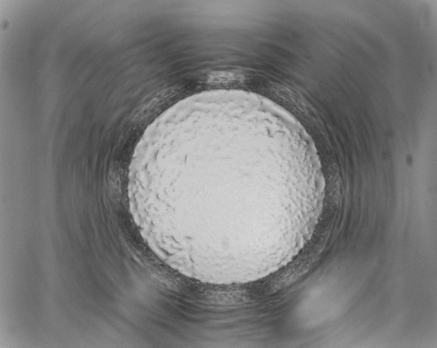 X0000058110375200510211507