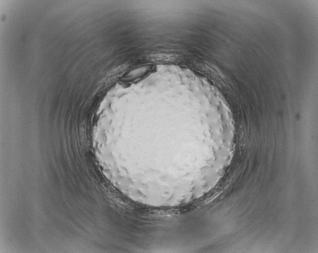 X0000058110377200510211507