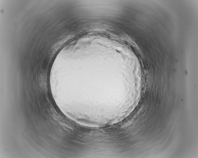 X0000058110386200510211506