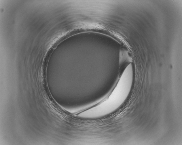 X0000058110391200510211506