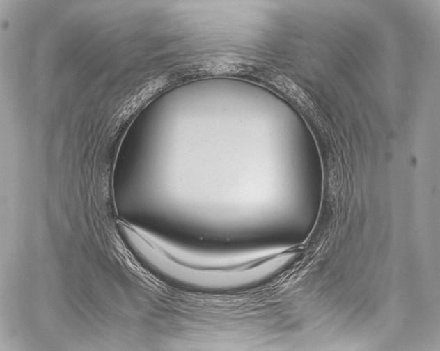 X0000058110393200510211506