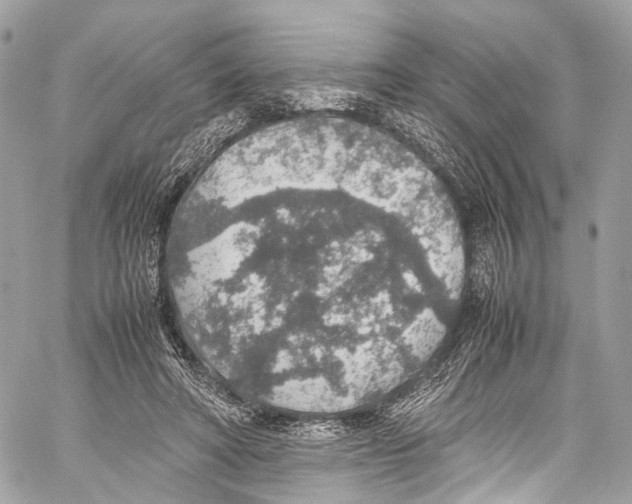 X0000058110402200510211506