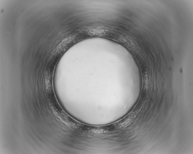 X0000058110408200510211506