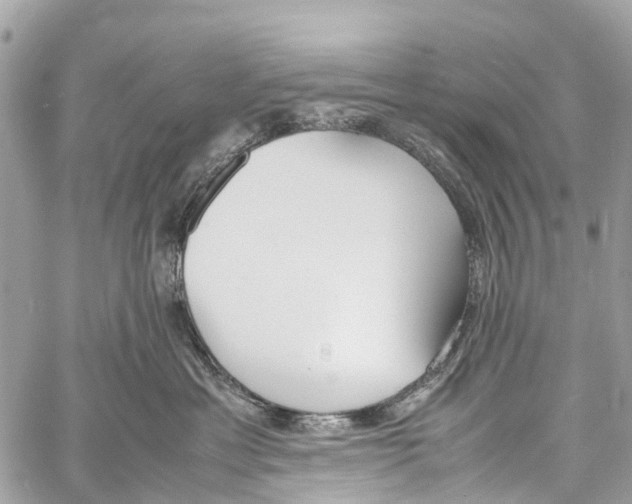 X0000058110429200510211505