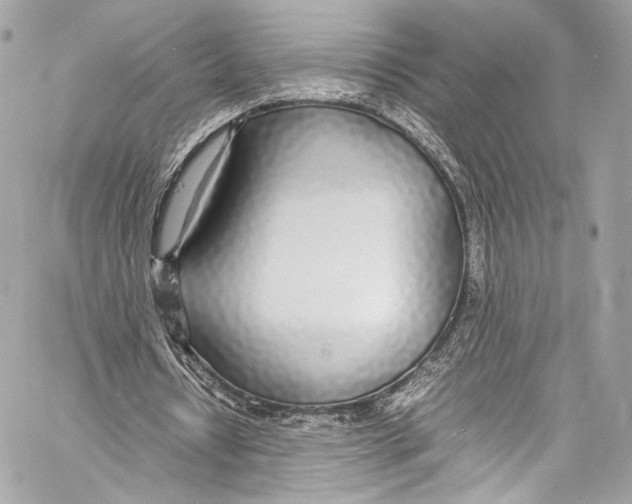 X0000058110434200510211505