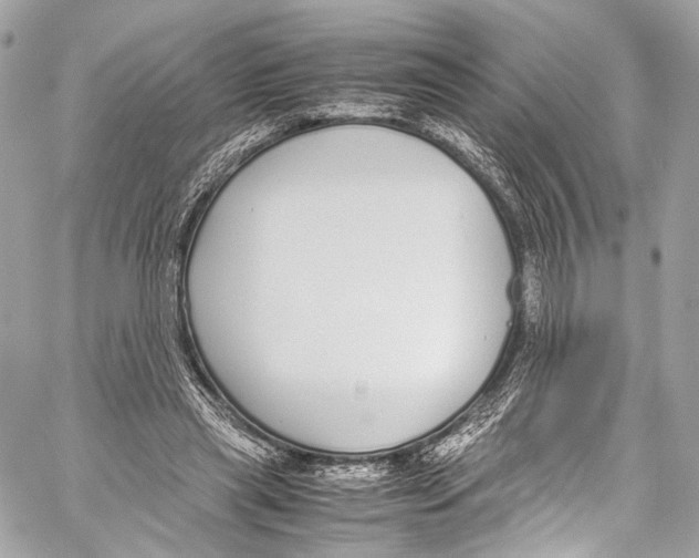 X0000058110445200510211505