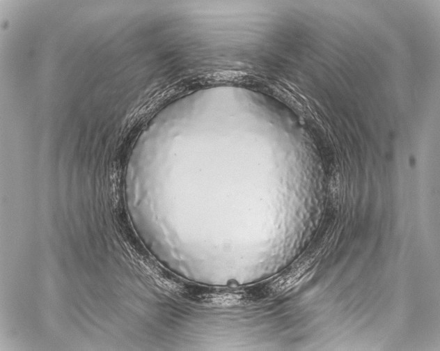 X0000058110462200510211505