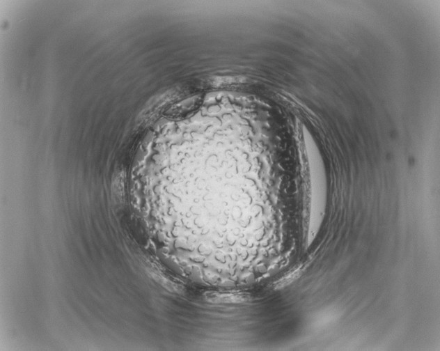 X0000058110475200510211505