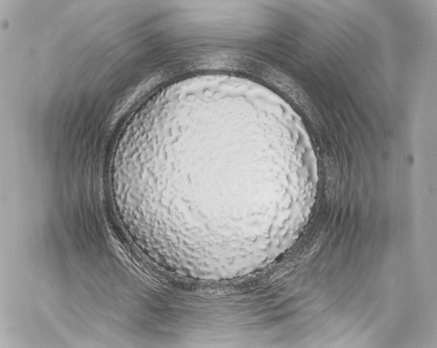 X0000058110482200510211505