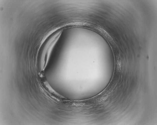 X0000058110484200510211505