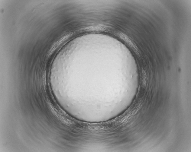 X0000058110486200510211505