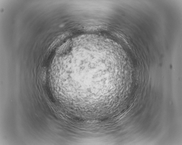 X0000058110495200510211504