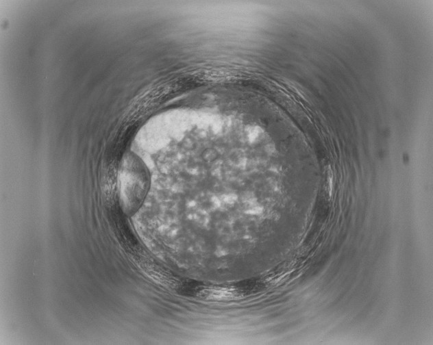 X0000058110507200510211504